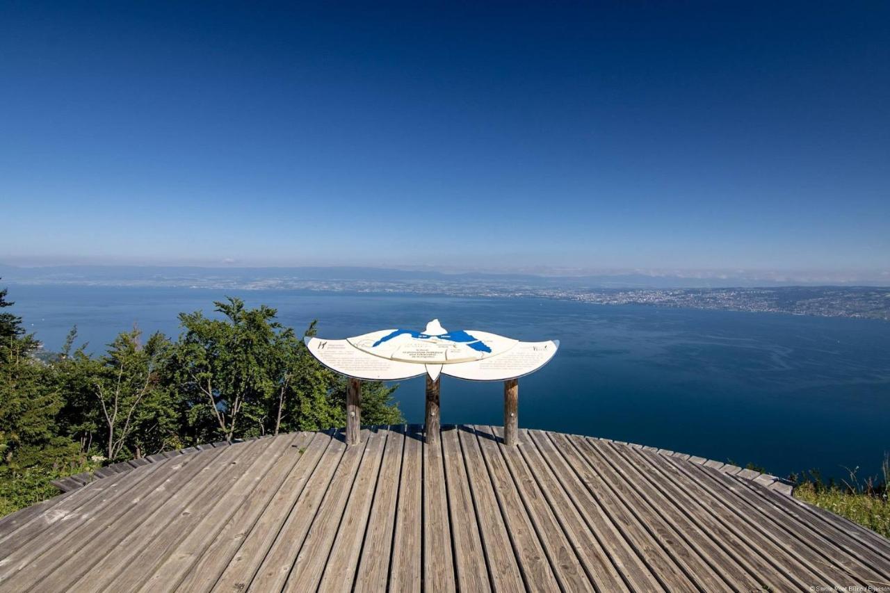 Votre Studio Balneo Bien-Etre A La Montagne Thollon-les-Memises Екстер'єр фото