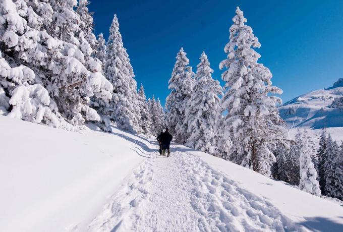 Votre Studio Balneo Bien-Etre A La Montagne Thollon-les-Memises Екстер'єр фото
