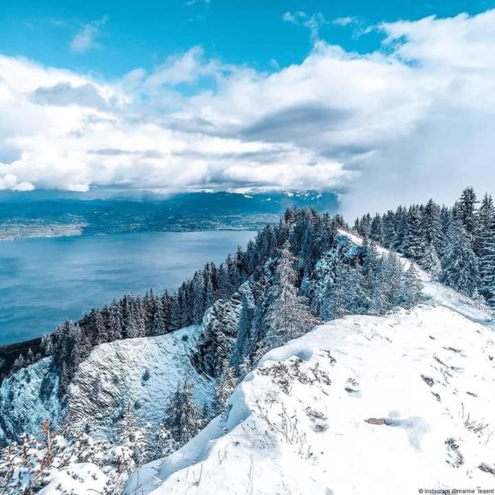Votre Studio Balneo Bien-Etre A La Montagne Thollon-les-Memises Екстер'єр фото